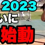 大谷翔平2023始動！最新スイングのパワーがものすごい