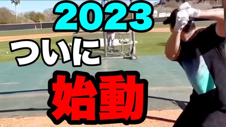 大谷翔平2023始動！最新スイングのパワーがものすごい