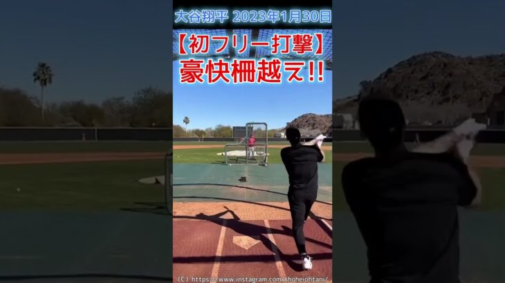 ⚾初フリー打撃でマン振り豪快な柵越え！ #大谷翔平2023 #shoheiohtani #shorts