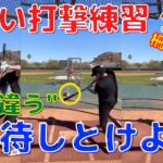 【大谷翔平】爆音の打撃練習を公開！「バットの音が他と違う」とエ軍メディアも期待！