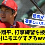 大谷翔平  打撃練習を披露‼ あまりにもエグすぎるwwwwwww【なんjまとめ,なんG,2ch,5ch】