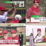 02月22日  WBC ニュース & プロ野球 – 大谷翔平の残留はチームの成績次第？との見方にネビン監督「残留させたい。勝利が助けになるのなら、勝つことも悪くないね」