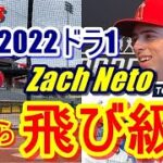 【大谷翔平】所属のエンゼルスで今年トッププロスペクト100入りした2022年エ軍ドラフト1位のザック・ネト内野手。2Aからの飛び級でメジャーキャンプに参加決定！抜群の身体能力で大学時代は二刀流だった…