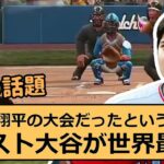 大谷翔平（ロサンゼルス・エンジェルス）が帰国会見？… に対する読者の反応集… 144