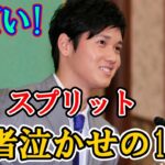 大谷翔平選手の150kmスプリッタ―！！打者を最も嫌がらせた15球に認定！