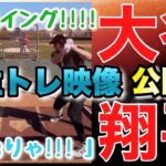 大谷翔平自主トレ映像公開！打球速度約186・6キロの高速打球！？