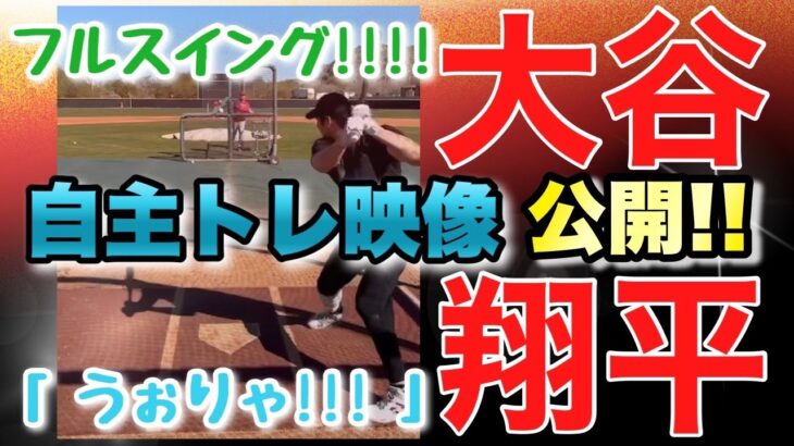 大谷翔平自主トレ映像公開！打球速度約186・6キロの高速打球！？