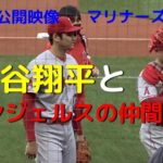 現地で見る【大谷翔平】2022年シアトルマリナーズ戦　超接近映像一挙公開　 Shohei Ohtani & LA Angels @mariners 2022 close videos