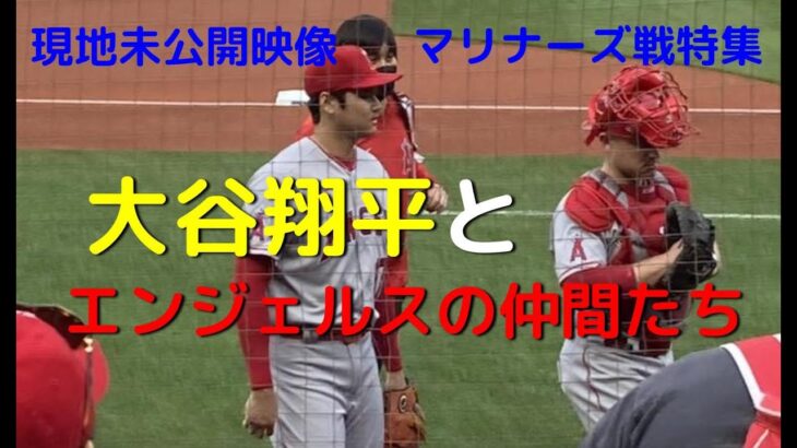 現地で見る【大谷翔平】2022年シアトルマリナーズ戦　超接近映像一挙公開　 Shohei Ohtani & LA Angels @mariners 2022 close videos