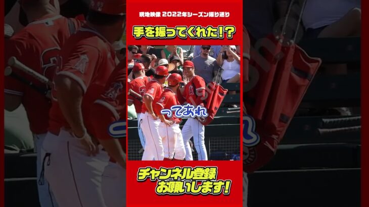 手を振ってくれた？！（2022シーズン） #大谷翔平 #Shorts #現地映像