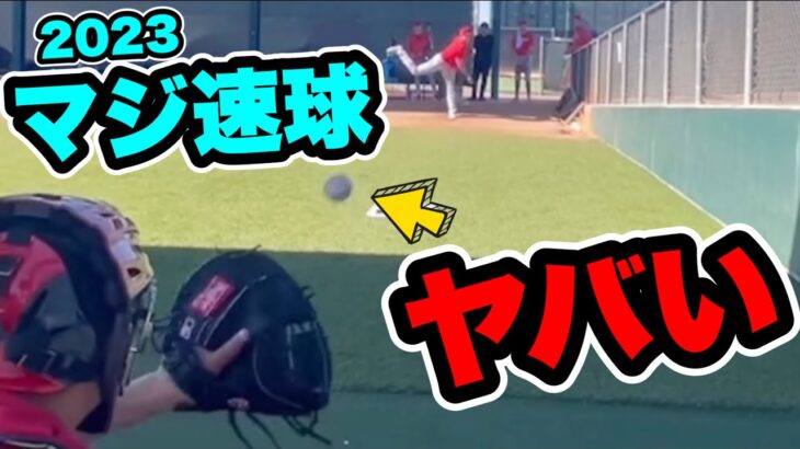 大谷翔平2023本気ピッチング！この段階でこの速球ヤバい