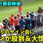 アメリカ最新映像！いきなりの大谷翔平サイン会にファン達が大慌てに！エンゼルス【現地映像】春季キャンプ2023