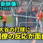 最新映像!【現地速報】大谷翔平の打球を見た同僚の反応が面白い！  エンゼルス 春季キャンプ2023