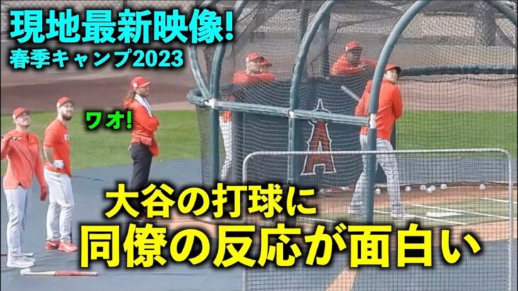 最新映像!【現地速報】大谷翔平の打球を見た同僚の反応が面白い！  エンゼルス 春季キャンプ2023