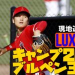 【大谷翔平現地リポート2023】2月18日大谷がキャンプ2度目ブルペン37球　これまで同様の独自調整に指揮官も「luxuryを許可している」