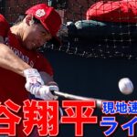 【大谷翔平現地リポート2023】2月25日 エンゼルス大谷 打者で3日連続ライブBP参加　日本時間27日Wソックス戦に「3番・DH」で出場