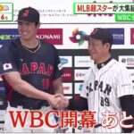 2月12日プロ野球ニュース【WBC】MLB超スターが大集結 なつかし面々もＷＢＣ開幕まであと１カ月。今大会はメジャーリーガーが１８６人。米国のキャプテンは大谷翔平の同僚・Ｍトラウト