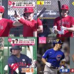 2月21日 プロ野球ニュース【ＷＢＣ】大谷翔平投手フリー打撃でサク越え連発驚異の”１４０メートル弾”で駐車場が危険地帯にダルビッシュ　ライブBPで村上と対決村上いきなりバックスクリーン弾！球場どよめく