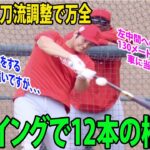 大谷翔平　二刀流調整で万全　⚾︎💨26スイングで12本の柵越え😵 左中間への130メートル弾…  車に当たりそうでした🚨 キャッチボールをする大谷。遠いですが、、、