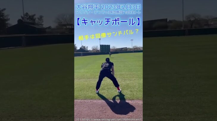 ⚾筋トレで265.4キロ持ち上げる大谷サン（2023.2.3 アリゾナ・テンピ球団施設で自主トレ中）#shoheiohtani #shorts #大谷翔平