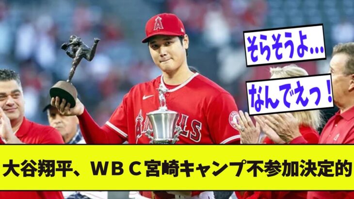 大谷翔平、ＷＢＣ宮崎キャンプ不参加決定的【2chプロ野球まとめ】