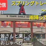 大谷翔平選手は毎日楽しくスプリングトレーニング⚾️〜7日目〜雨降ってます☔ファンの皆さんと楽しく😆気ままにおしゃべり