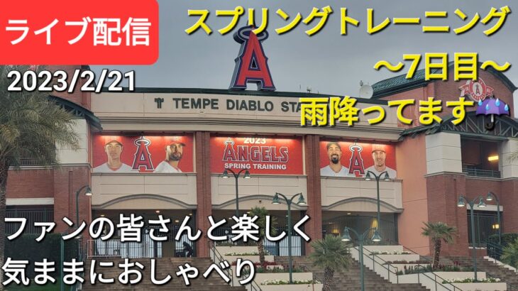 大谷翔平選手は毎日楽しくスプリングトレーニング⚾️〜7日目〜雨降ってます☔ファンの皆さんと楽しく😆気ままにおしゃべり