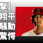 大谷翔平に700億円級契約を提示するか、エ軍オーナーが初言及！大谷の逆転残留へのキーマンで、経済的な面でトップ10に入っていると自信を見せ！