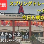 大谷翔平選手は楽しくスプリングトレーニング〜8日目〜今日も朝から雨☔ファンの皆さんと楽しく😆気ままにおしゃべりします