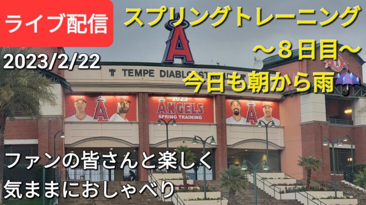 大谷翔平選手は楽しくスプリングトレーニング〜8日目〜今日も朝から雨☔ファンの皆さんと楽しく😆気ままにおしゃべりします