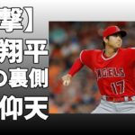 大谷翔平の今季の活躍について予想！今オフのバットの振り方を見ていると、来年は一人で80本打つかもしれないと予想！