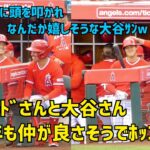 BBパルドさんに頭を叩かれる大谷さん なんだか嬉しそう 今年も仲が良くてほっこり  Shohei Ohtani Angels 大谷翔平