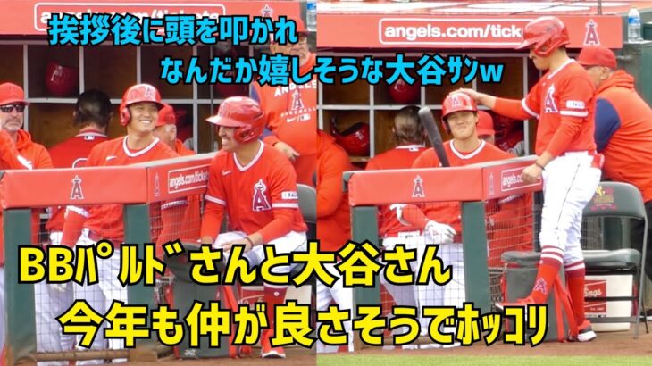 BBパルドさんに頭を叩かれる大谷さん なんだか嬉しそう 今年も仲が良くてほっこり  Shohei Ohtani Angels 大谷翔平