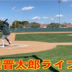 メジャー初実戦 藤浪晋太郎ライブBP、インタビュー大谷翔平との対戦について。アスレチックス