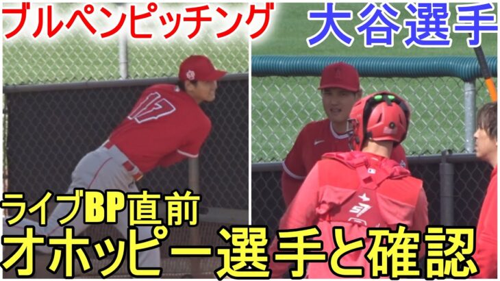 ライブBP直前オホッピー選手と確認する【大谷翔平選手】キャンプ３度目のブルペンピッチング Shohei Ohtani 2023 Spring Training Bullpen Pitching