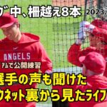 大谷選手の声も聞こえた バックネット裏から見たライブBP 気持ち良い打球音 Shohei Ohtani Angels