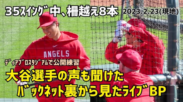 大谷選手の声も聞こえた バックネット裏から見たライブBP 気持ち良い打球音 Shohei Ohtani Angels