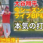 【最新】現地速報！大谷翔平、今シーズン初披露！ライブBPでガチの打席！【2.20現地映像】