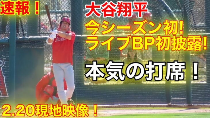 【最新】現地速報！大谷翔平、今シーズン初披露！ライブBPでガチの打席！【2.20現地映像】