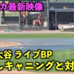 アメリカ最新映像！打者・大谷翔平がライブBPでキャニングと２打席対決！エンゼルス【現地映像】春季キャンプ2023