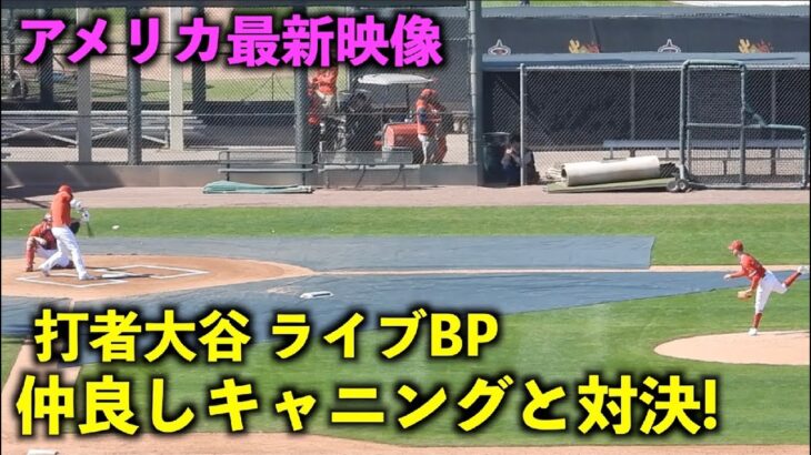 アメリカ最新映像！打者・大谷翔平がライブBPでキャニングと２打席対決！エンゼルス【現地映像】春季キャンプ2023