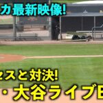 アメリカ最新映像！打者・大谷翔平がライブBPでシルセスと対決！エンゼルス【現地映像】春季キャンプ2023