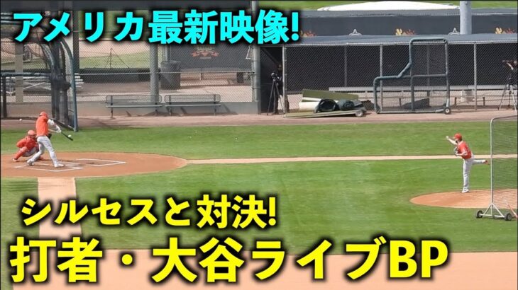 アメリカ最新映像！打者・大谷翔平がライブBPでシルセスと対決！エンゼルス【現地映像】春季キャンプ2023