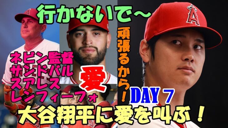 DAY7　大谷翔平に愛を叫ぶ！行かないで😢😢😢！フィル・ネビン監督、パトリック・サンドバル、ホセ・スアレス、ルイス・レンフィーフォ！