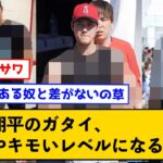 【悲報】大谷翔平のガタイ、もはやキモいというレベルになる←ベジータとトランクスから学べと批難する声も【なんJコメント付き】