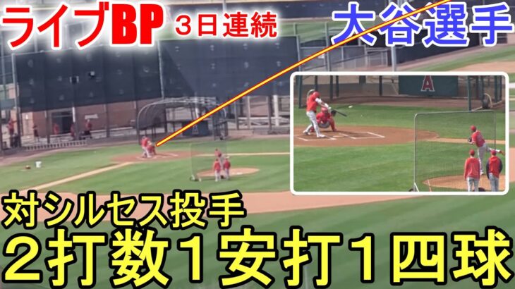 ３日連続、打者として４回目の実戦形式Live BP【大谷翔平選手】対 シルセス投手。2打数1安打1四球 Shohei Ohtani 2023 Spring Game Day 1