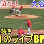 連日、打者として３回目の実戦形式Live BP～全6打席～【大谷翔平選手】 Shohei Ohtani 2023 Spring Training Day 10