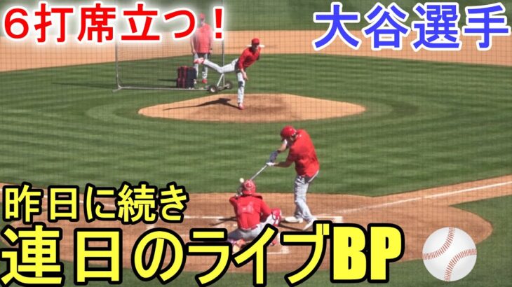 連日、打者として３回目の実戦形式Live BP～全6打席～【大谷翔平選手】 Shohei Ohtani 2023 Spring Training Day 10