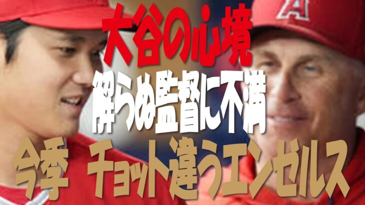 【ＭＬＢ】大谷翔平は「MVPを獲れず満足していない」　ネビン監督明かす本音「大谷の心情…解らない監督に不満殺到？」