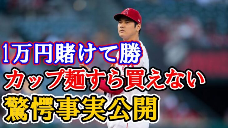 大谷翔平のMVPオッズは驚愕の1.02 倍！！『1万円賭けて勝ってもカップヌードルさえ買えないwww』